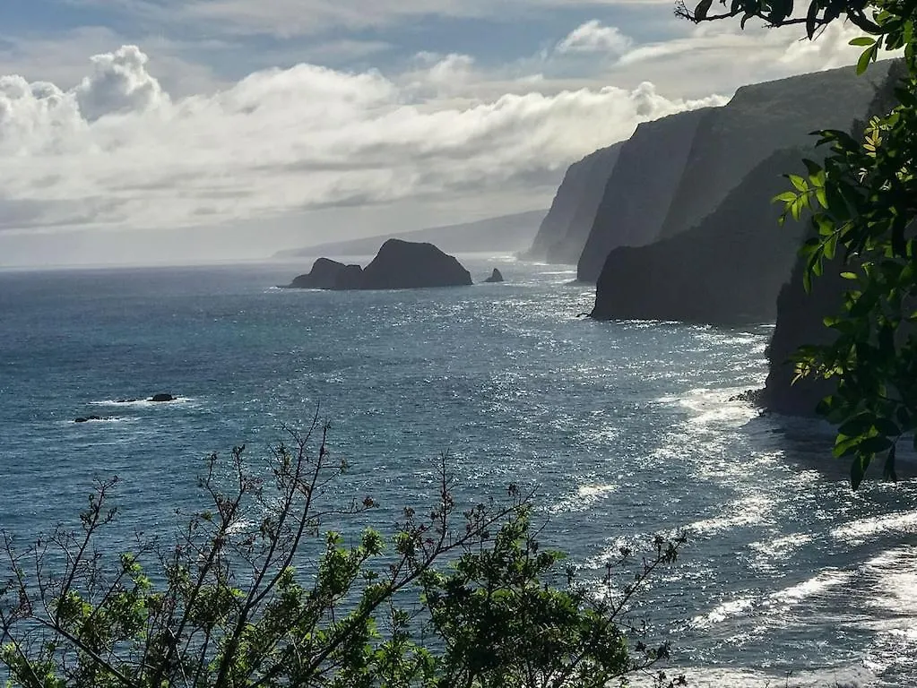 度假居 Oceanfront Condo & Walking Distance To Beach And Town- Hale Kona Kai 207 By Casago Kona 凯路亚-科纳
